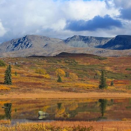 Caribou Lodge Alaska タルキートナ エクステリア 写真