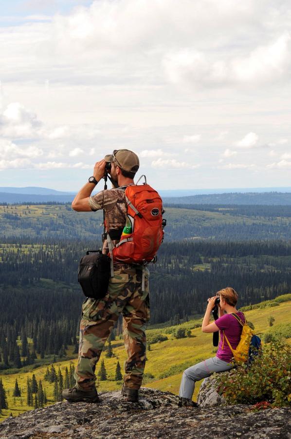 Caribou Lodge Alaska タルキートナ エクステリア 写真
