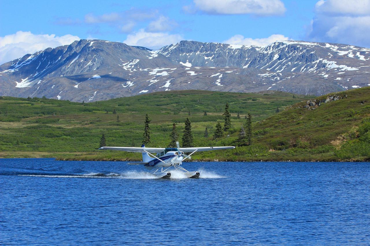 Caribou Lodge Alaska タルキートナ エクステリア 写真