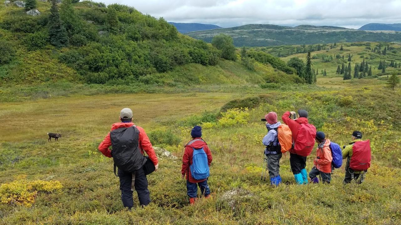 Caribou Lodge Alaska タルキートナ エクステリア 写真