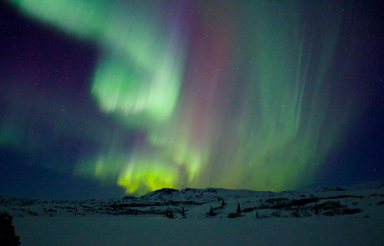 Caribou Lodge Alaska タルキートナ エクステリア 写真