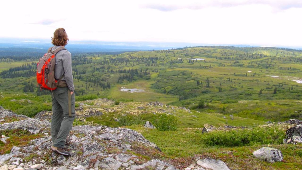 Caribou Lodge Alaska タルキートナ エクステリア 写真