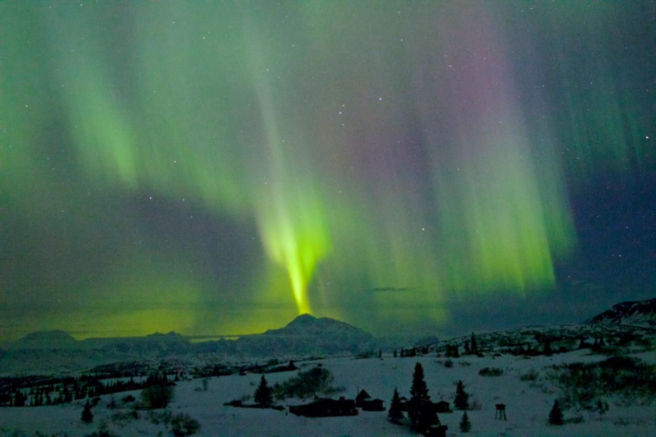 Caribou Lodge Alaska タルキートナ エクステリア 写真