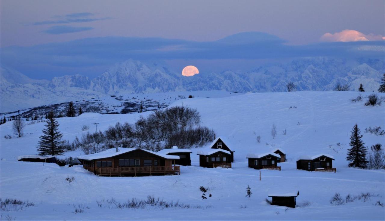 Caribou Lodge Alaska タルキートナ エクステリア 写真