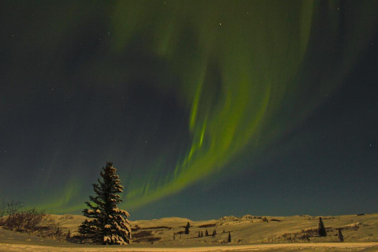 Caribou Lodge Alaska タルキートナ エクステリア 写真