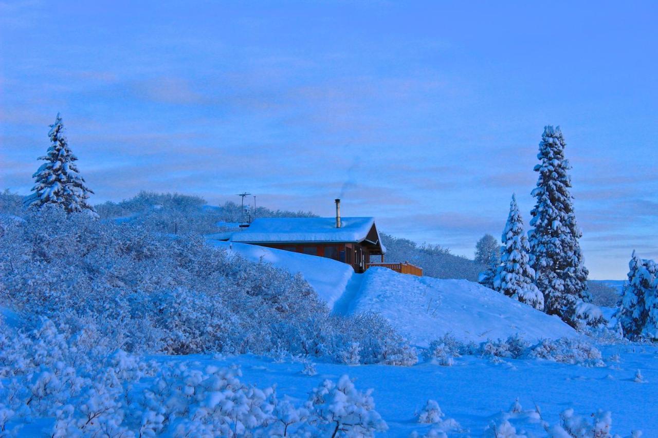 Caribou Lodge Alaska タルキートナ エクステリア 写真